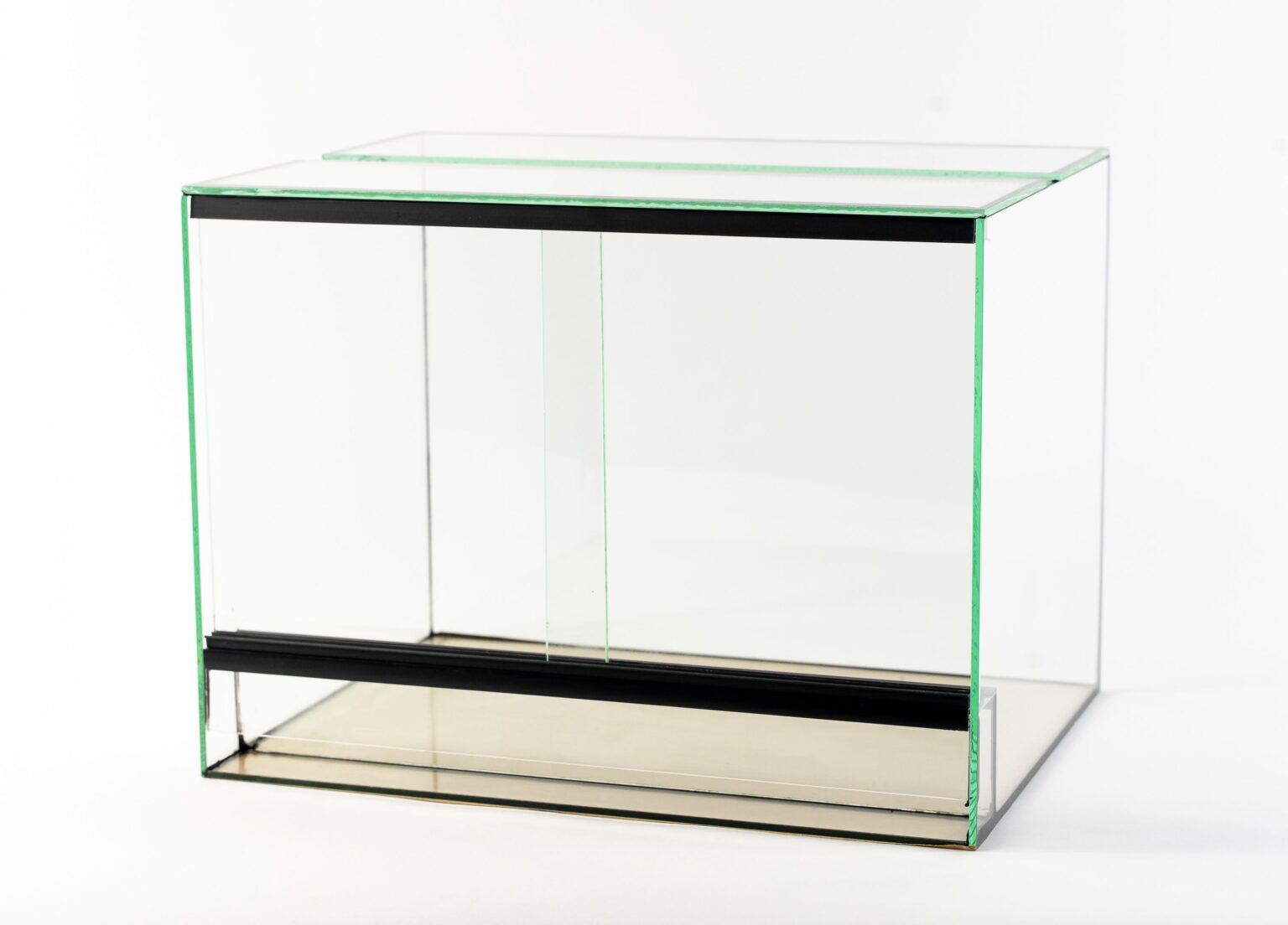 Horisontella terrarium